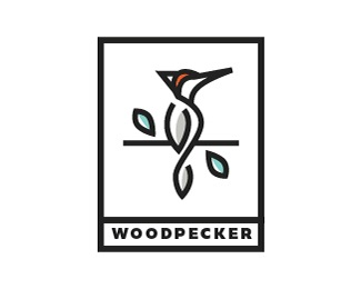 啄木鸟logo设计欣赏