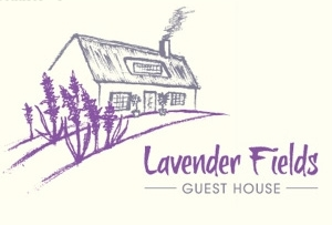 logo设计-素描的薰衣草房子