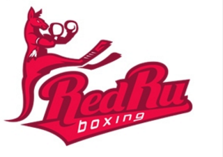 logo设计-袋鼠拳击手