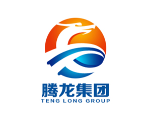 腾龙集团标志logo设计