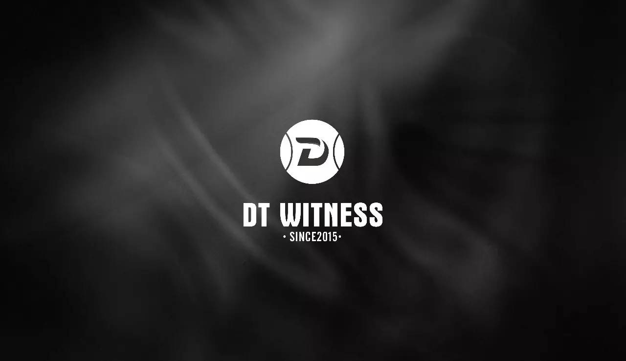 大师灵感的DT WINTNESS篮球队logo设计