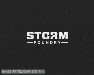 Storm Foundry标志设计欣赏