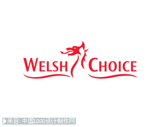 Welsh Choice标志设计欣赏