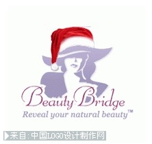 Beauty Bridge网站logo设计欣赏