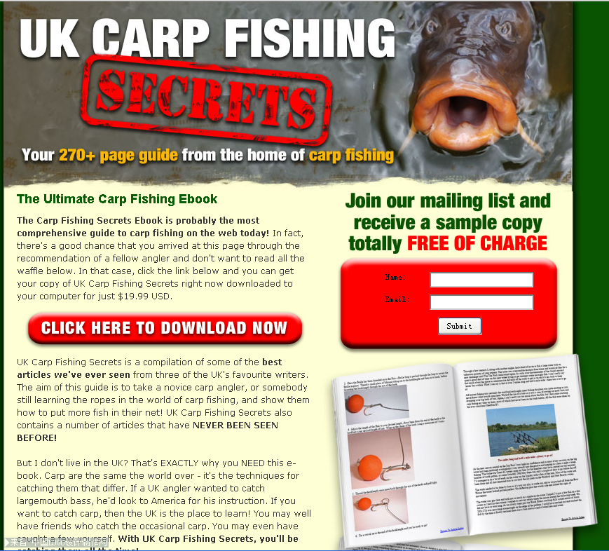 英国钓鱼网站标志设计欣赏