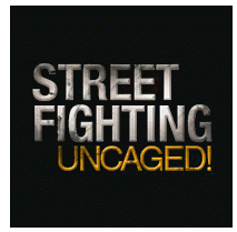 Street Fighting Uncaged网站标志设计欣赏