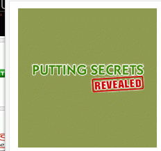 Putting Secrets Revealed网站标志设计