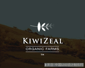 有机食品商KiwiZeal标志设计欣赏