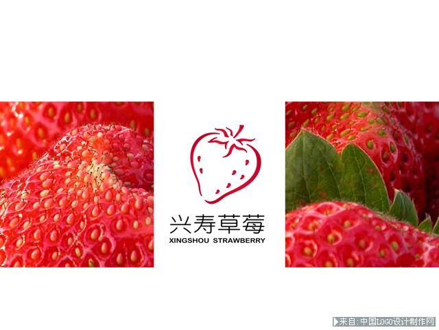 商标设计欣赏:兴寿草莓logo设计欣赏