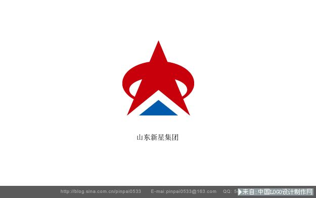 电子商务网站:新星集团