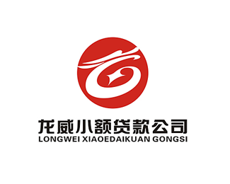 龙威小额信贷公司logo