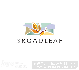 Broadleaflogo欣赏