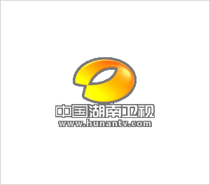 湖南电视台logo设计欣赏