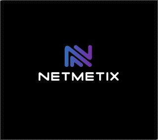 netmetix标志设计欣赏