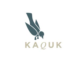 Kaquk标志设计欣赏