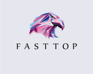 FASTTOP by alexmark 搜索引擎优化-logopond 精选logo欣赏