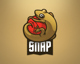 snap篮球队logo设计欣赏