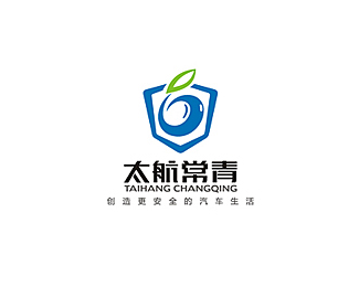 太航常青汽车安全设备公司logo设计欣赏