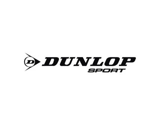 邓禄普(DUNLOP)标志logo图片