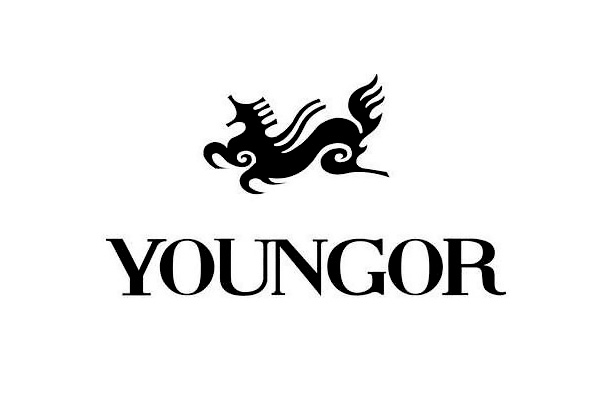 雅戈尔(Youngor)标志高清大图.jpg