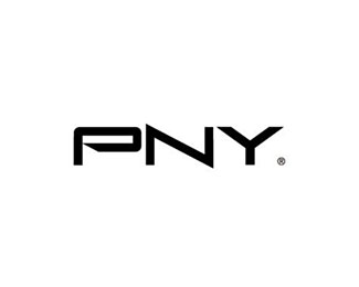 必恩威(PNY)企业logo标志