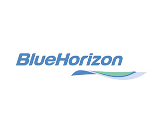 海润(BlueHorizon)标志logo设计