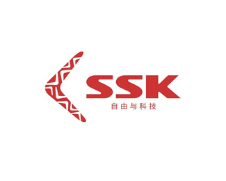 飚王(SSK)企业logo标志