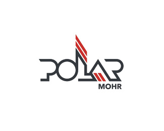 波拉(Polar)标志logo图片