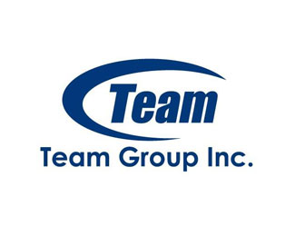 十铨(TEAM)标志logo设计