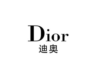 迪奥箱包(Dior)标志logo图片