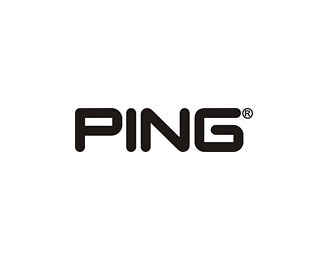 PING企业logo标志