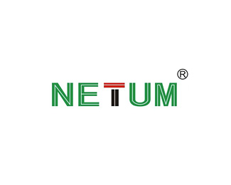 迅镭(Netum)企业logo标志