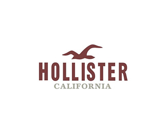 霍利斯特(Hollister)企业logo标志