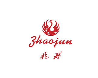 兆君(Zhaojun)标志logo设计