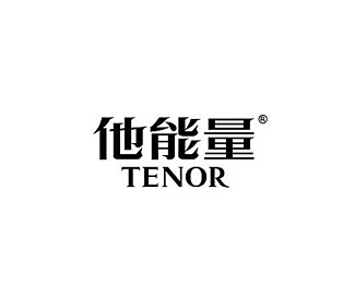 他能量(Tenor)企业logo标志