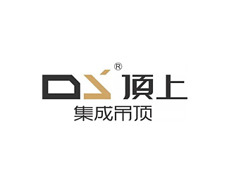 顶上(DS)企业logo标志