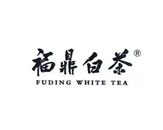 福鼎白茶标志logo图片