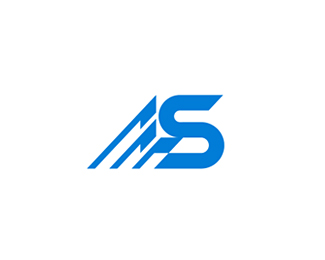 龙胜管业(LS)标志logo设计