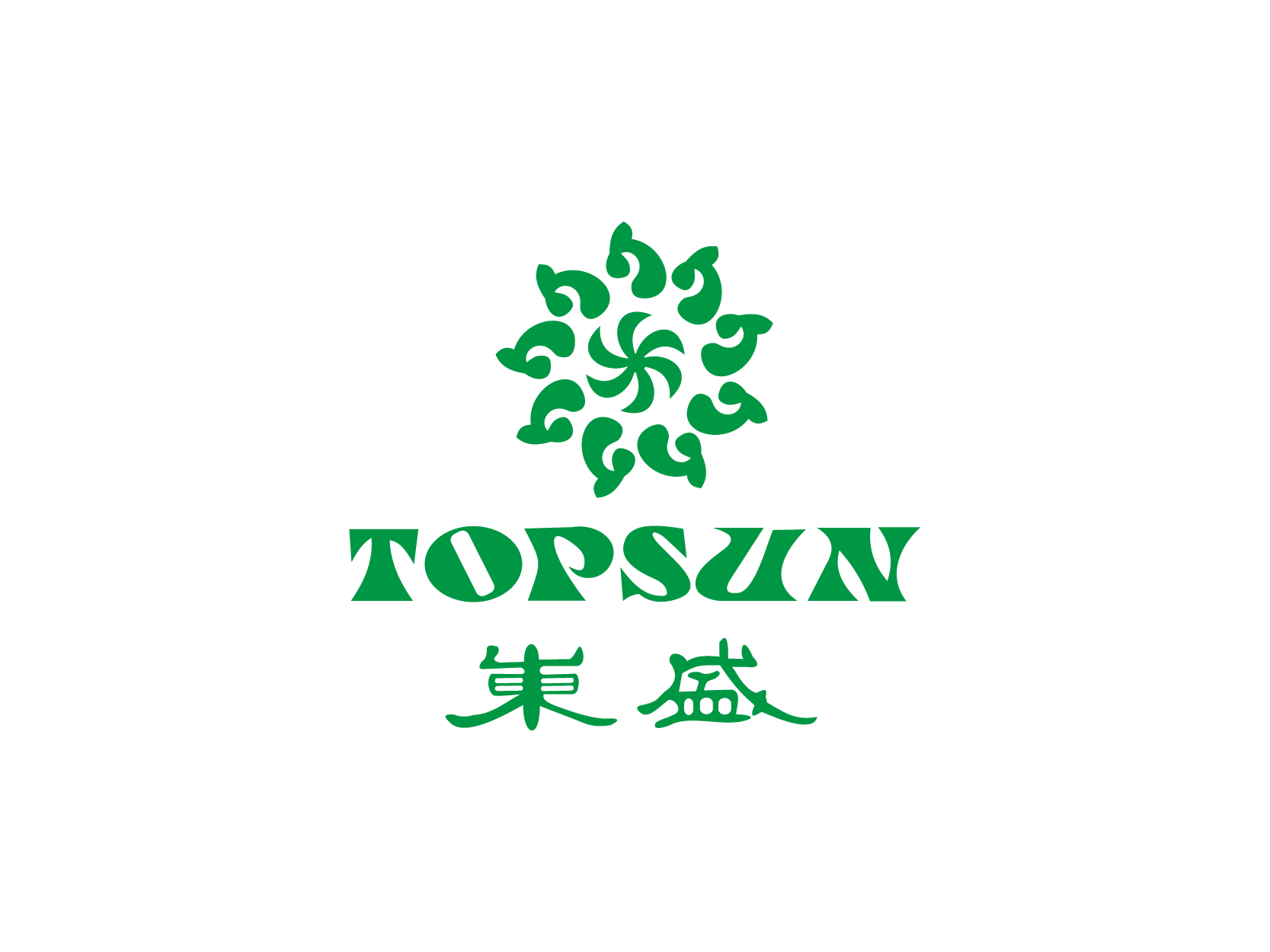 东盛TOPSUN标志logo设计