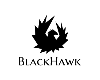 黑鹰logo设计