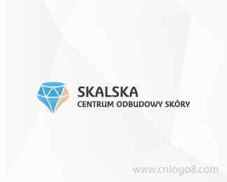 Skalska皮肤恢复中心标志设计