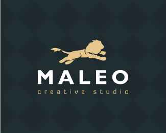 MALEO创意工作室