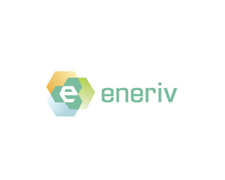 eneriv金融服务