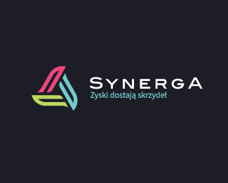 Synerga风能LOGO