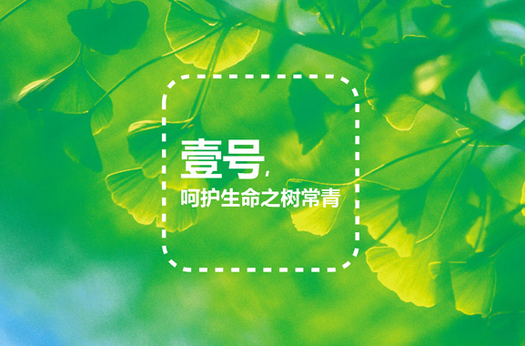 中国平安壹号大药房标志设计