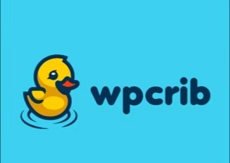鸭子游泳玩具logo设计