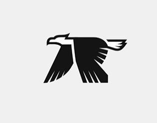 个人老鹰设计标志