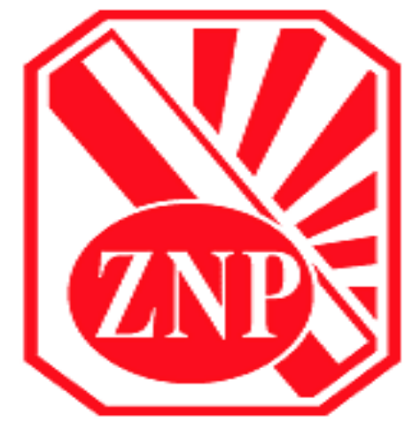 ZNP、红色、创意设计标志