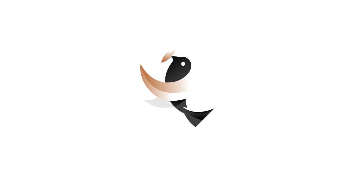 鸟logo设计  卡通设计  渐变