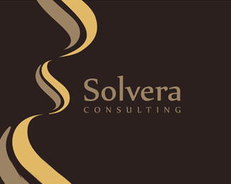 河源咨询机构Solvera